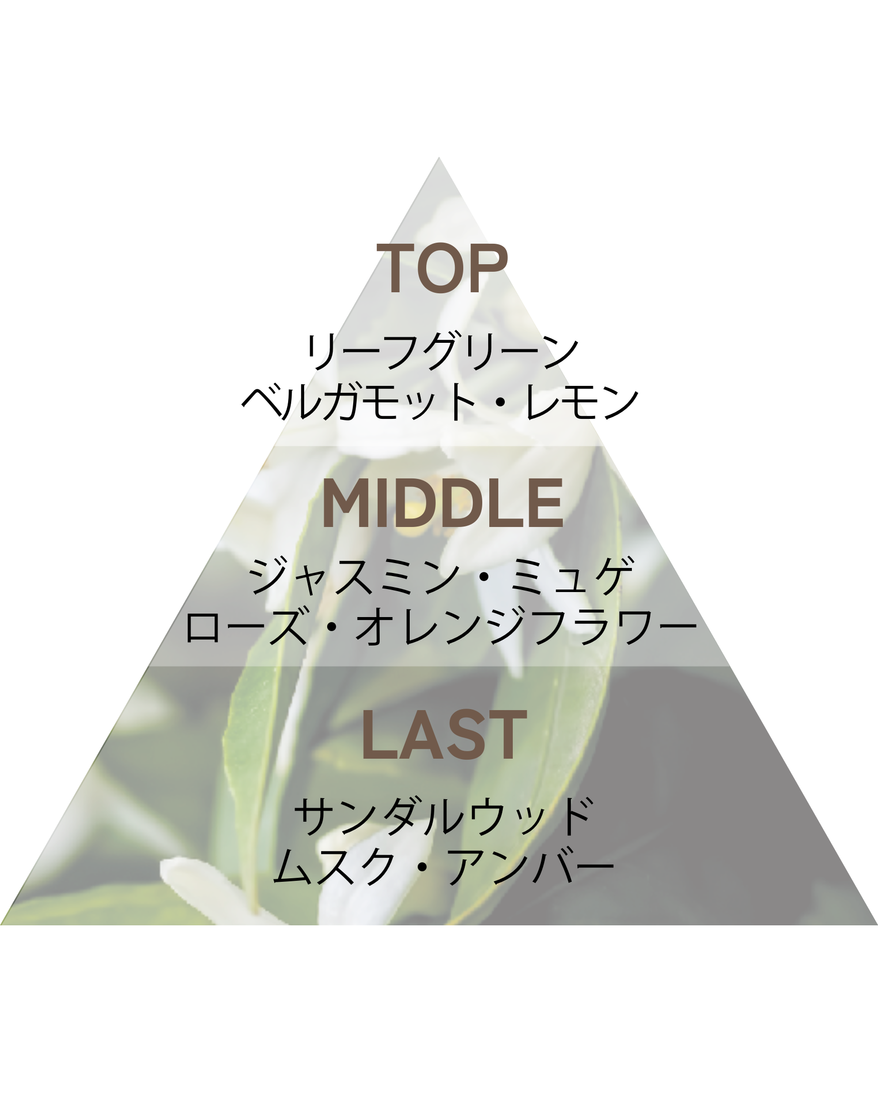 Lujoso リッチフレグランスボディソープ ビーチリゾート 400ml