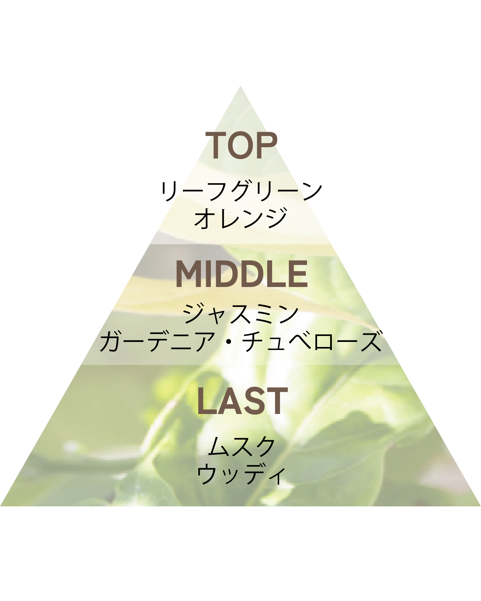 Lujoso リッチハンドソープ イランイラン 230ml